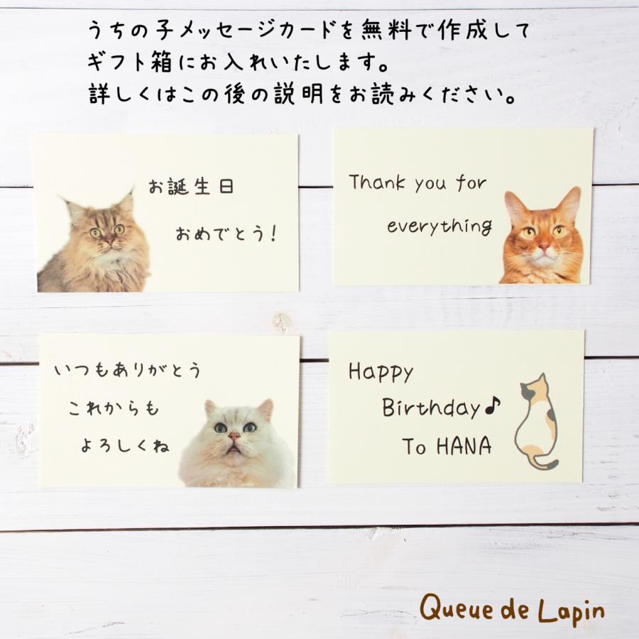 チャリティーボックス ネコギフト : Queue de Lapin - 通販 - Yahoo