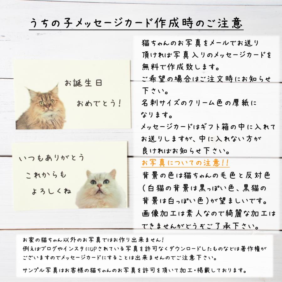 ニャーニャーニャーギフト（6枚入り） : Queue de Lapin - 通販 
