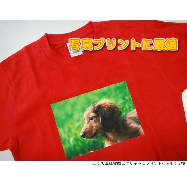 黒・白共用アイロンプリントシールA4(2枚入り） |  | 12