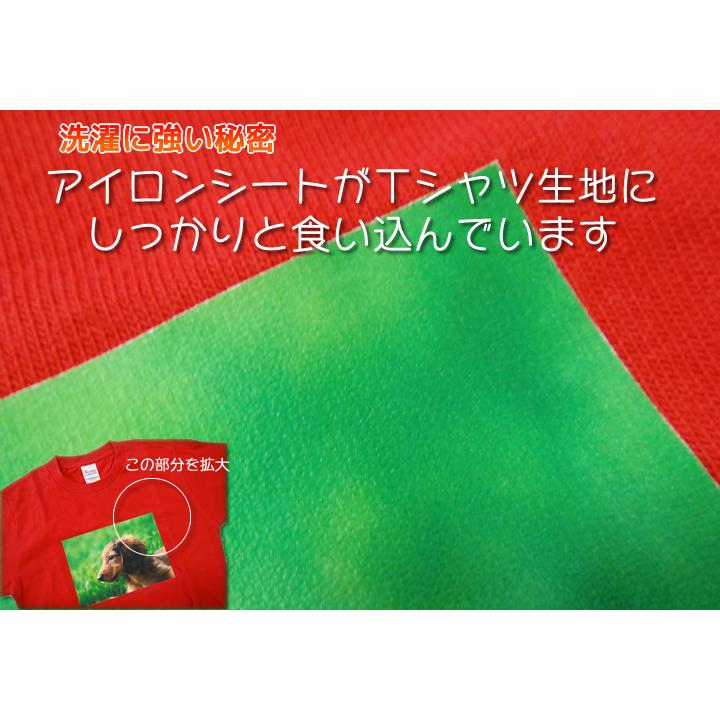 黒・白共用アイロンプリントシールA4(2枚入り) : クイック 黒・白共用アイロンプリントシールA4(2枚入り) : クイック