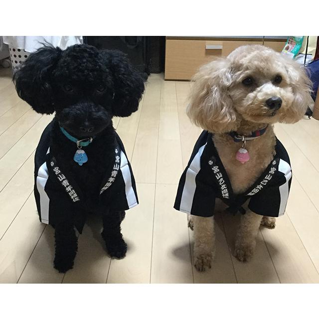 黒・白共用アイロンプリントシールA4(2枚入り） |  | 04