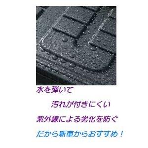 樹脂グロスコート 未塗装樹脂パーツコーティング 樹脂パーツが黒く復活艶をキープする樹脂コート 黒樹脂復活剤プレミアムコート コーティング剤　50ml | QUICK | 06