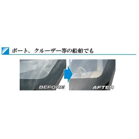 車の水垢ウロコ取り(専用スポンジ付き)-クイックポリッシュ100ｍｌ |  | 04