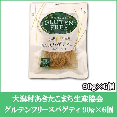 全店販売中 大潟村あきたこまち生産者協会 グルテンフリースパゲティ 90g 6個