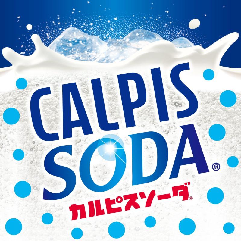カルピスソーダ 500ml ×48本 (24本入×2ケース) ペットボトル 送料無料｜quickfactory-annex｜03