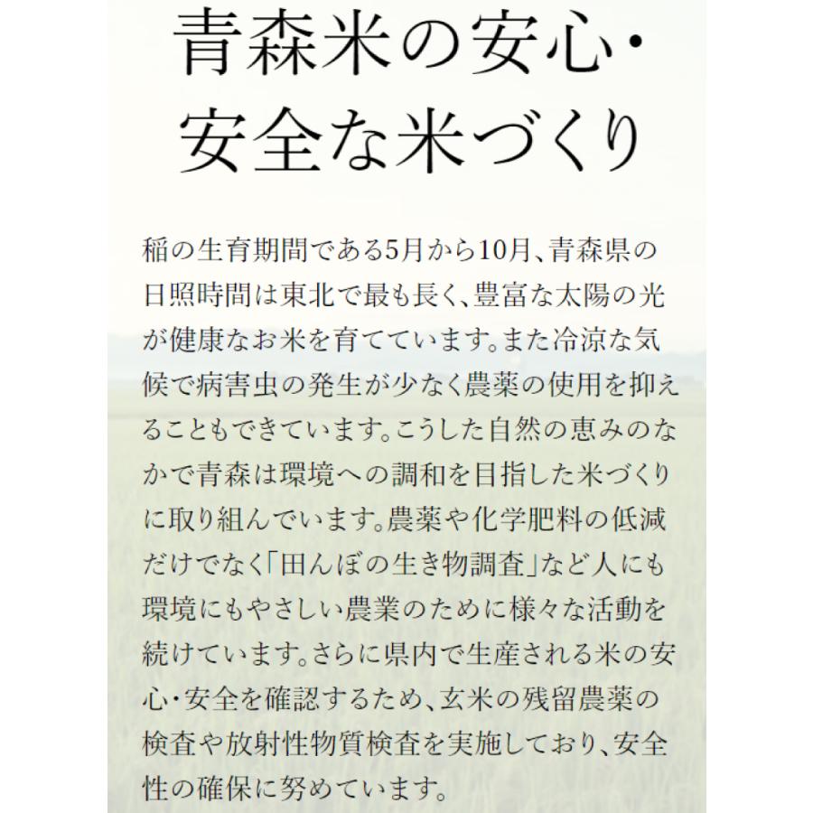 青森県産 青天の霹靂 令和5年度産 5kg ×2袋 (10kg) 送料無料｜quickfactory-annex｜03