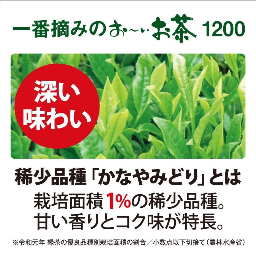 機能性表示食品 伊藤園 お茶 一番摘みのおーいお茶 1200 かなやみどりブレンド 100g｜quickfactory-annex｜06