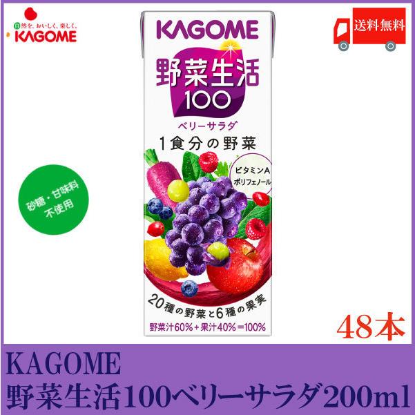 カゴメ 野菜生活100 ベリーサラダ 200ml 紙パック ×48本 (12本入×4ケース) 送料無料｜quickfactory-annex