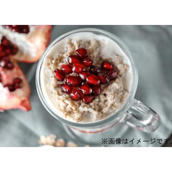 日本食品製造 日食 オートミール プレミアムピュア 340g