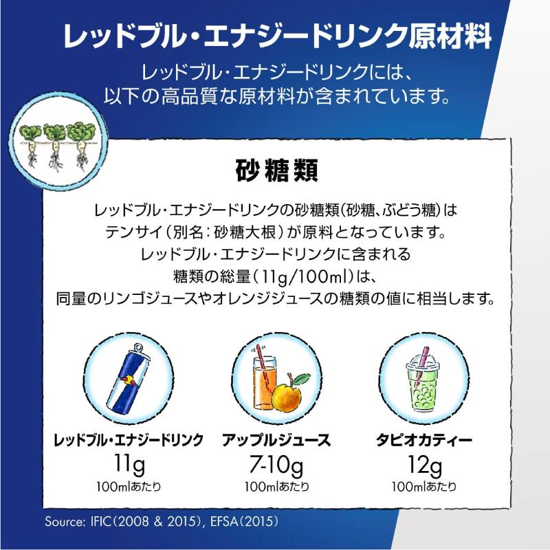レッドブル（RedBull） エナジードリンク 250ml ×72本 (24本入×3ケース