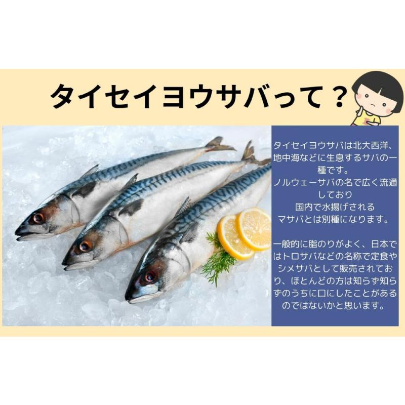 鯖缶 伊藤食品 あいこちゃん 大西洋サバ使用 鯖 水煮 150g ×6缶 送料無料｜quickfactory-annex｜03