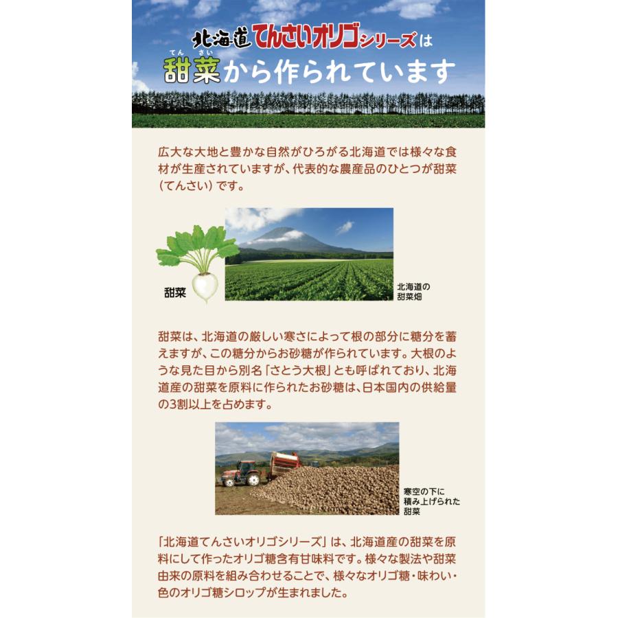 送料無料 加藤美蜂園 サクラ印 北海道てんさいオリゴ 液体 500g×6個 | サクラ印 | 02
