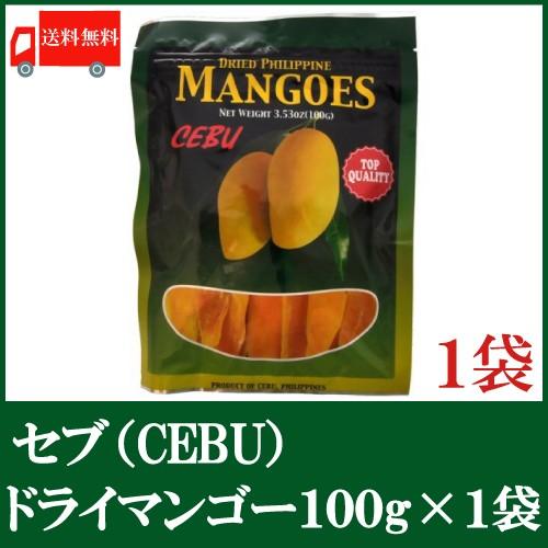 ドライマンゴー セブ 100ｇ 1袋 ドライフルーツ 送料無料 クイックファクトリー 通販 Paypayモール