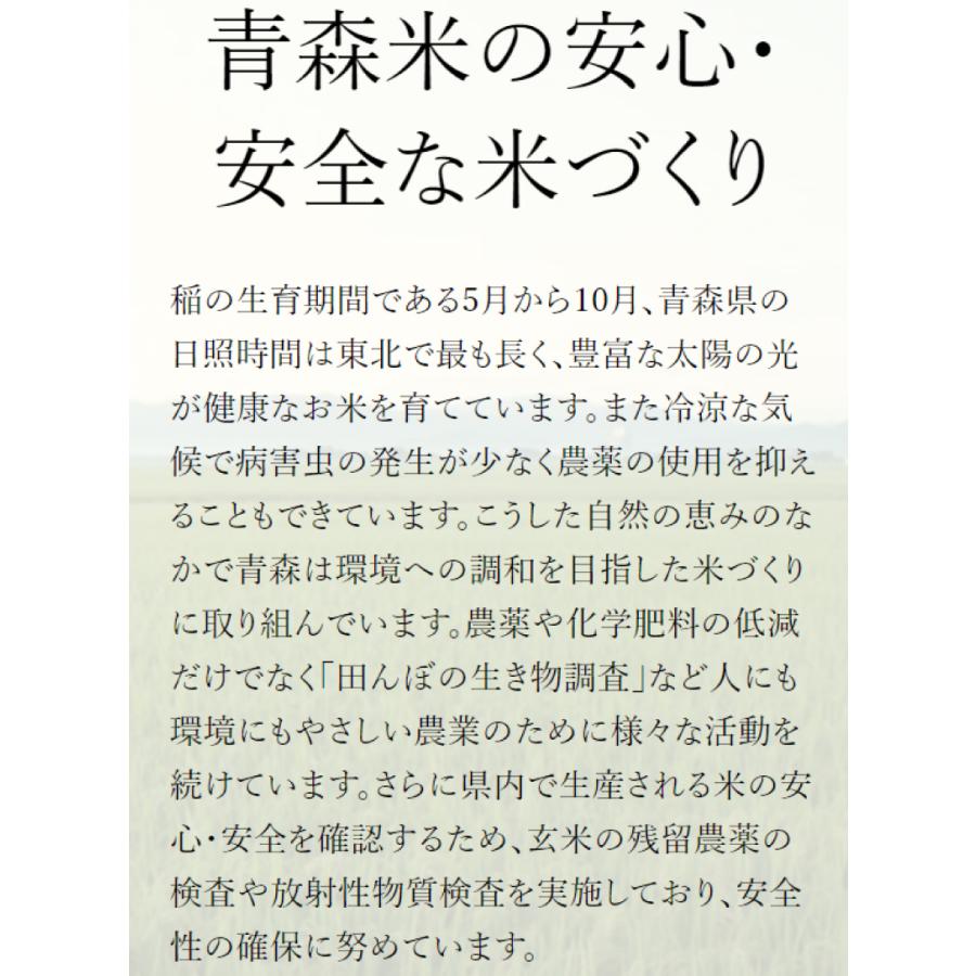 青森県産 青天の霹靂 令和5年度産 2kg×2袋 (4kg) 送料無料｜quickfactory｜03