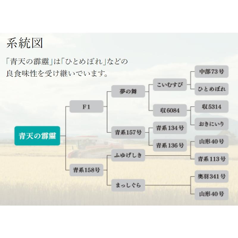 青森県産 青天の霹靂 令和5年度産 2kg×2袋 (4kg) 送料無料｜quickfactory｜04