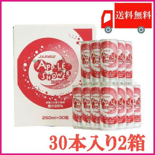 青森りんごジュース 炭酸 アオレン アップルシャワー 250ml×60缶【2ケース】送料無料 | 