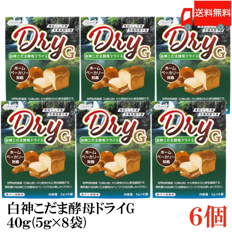 パイオニア企画 白神こだま酵母 ドライG 40g (5g×8袋) 6個 送料無料 | 