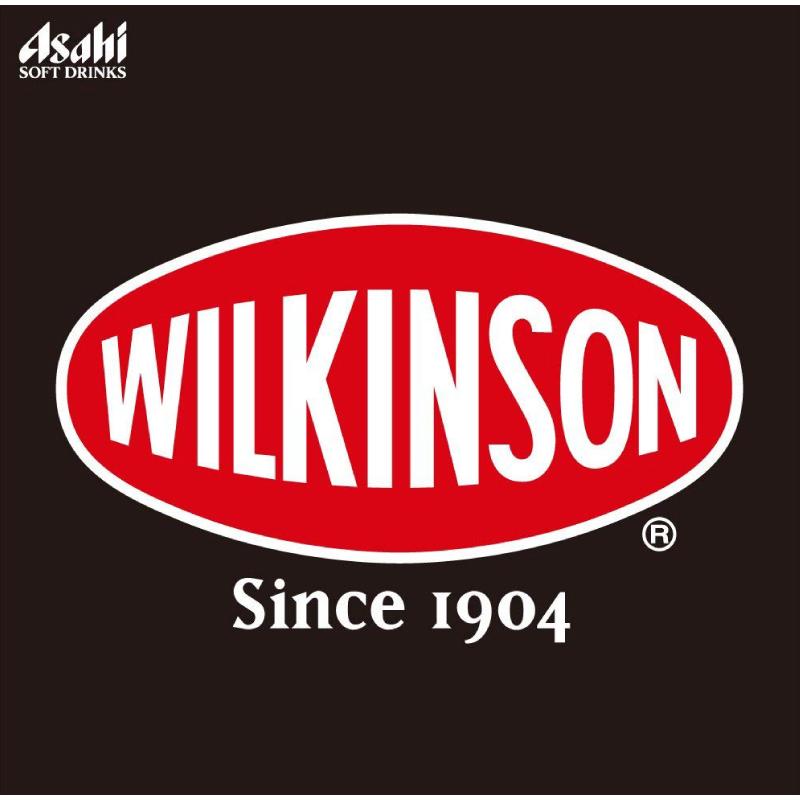 ウィルキンソン ジンジャーエール 500ml ×24本 ペットボトル 送料無料 | WILKINSON | 03