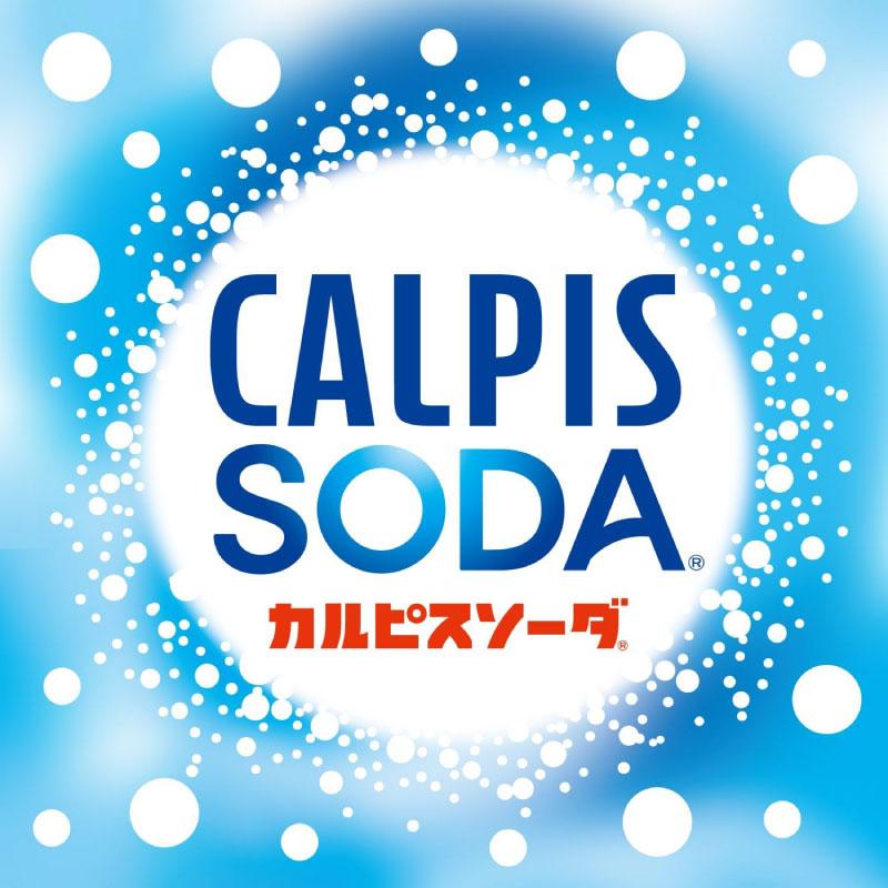 カルピスソーダ 500ml ×48本 (24本入×2ケース) ペットボトル 送料無料 | カルピス | 01