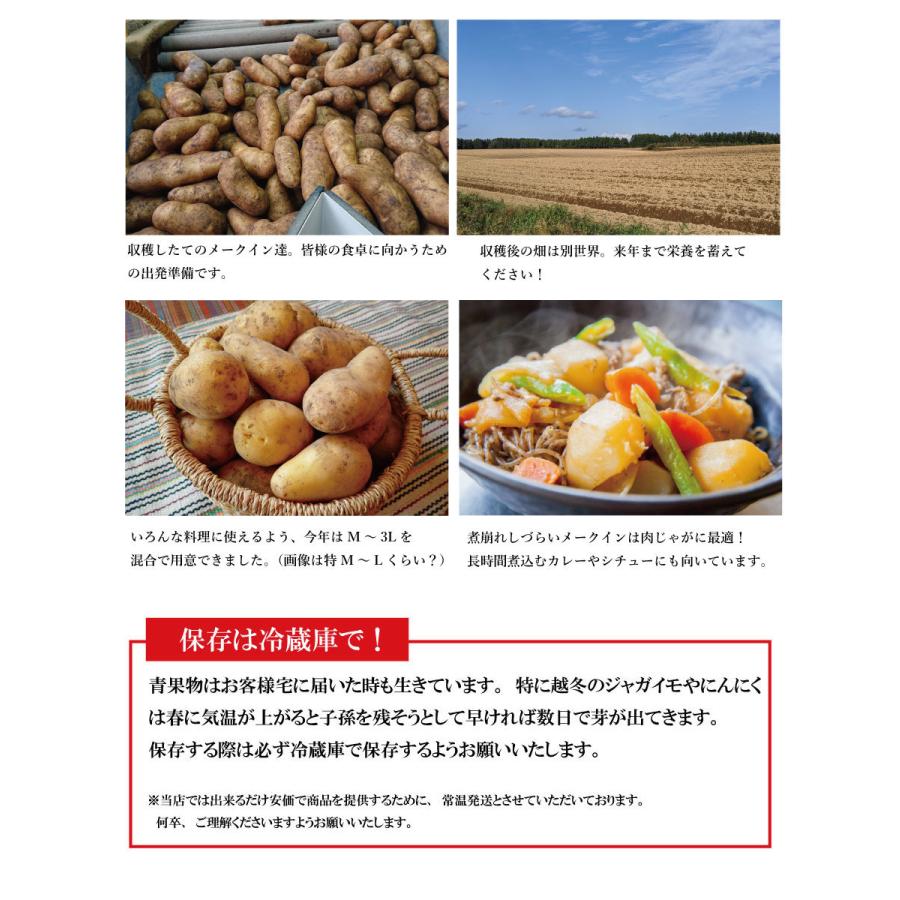 じゃがいも 北海道 十勝産 メークイン  2kg M/特M/L/2L/3L混合 送料無料 |  | 04