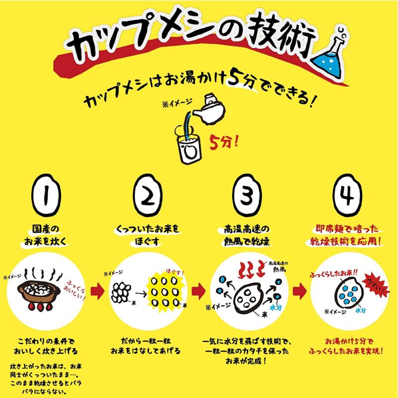 華麗 日清食品 チキンラーメン ぶっこみ飯 77g×12個 (6個入×2ケース)送料無料 米、ごはん