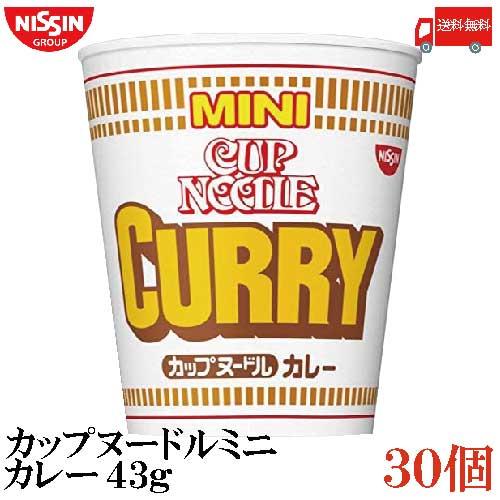 日清食品 カップヌードル カレー ミニ 43ｇ×30個 (15個入×2ケース) 送料無料 | カップヌードル