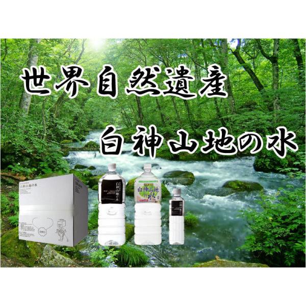 白神山美水館 白神山地の水 黒ラベル 2L ペットボトル ×12本 (6本入×2ケース) 送料無料｜quickfactory｜03