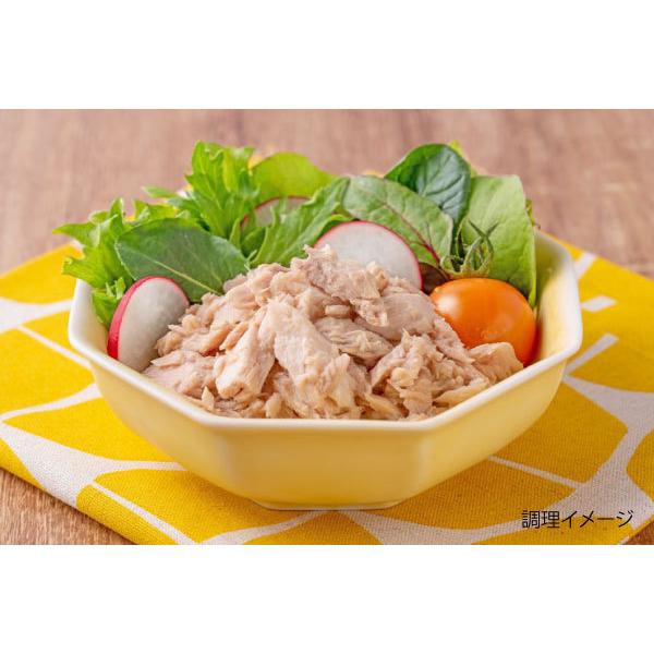 伊藤食品 ツナ缶 鮪 ライトツナフレーク オイル無添加 銀 70g ×6個 送料無料 |  | 03