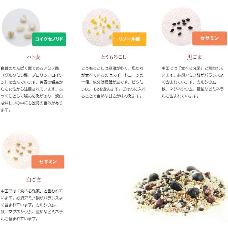 はくばく 十六穀ごはん お徳用 15袋入×4個 送料無料 | はくばく | 14