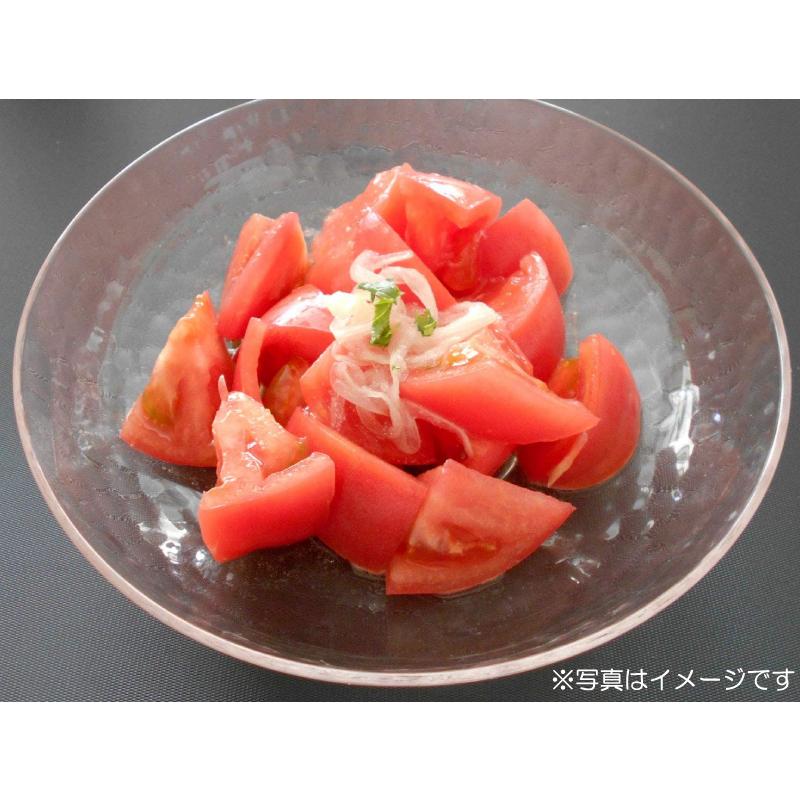 ニチノウ食品 おつまみ畑 甘うまトマトの素 42g (14g×3袋入) ×5袋 送料無料 |  | 04