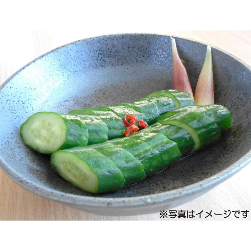 ニチノウ食品 徳用 さっぱり漬の素 120g (15g×8袋入) |  | 03