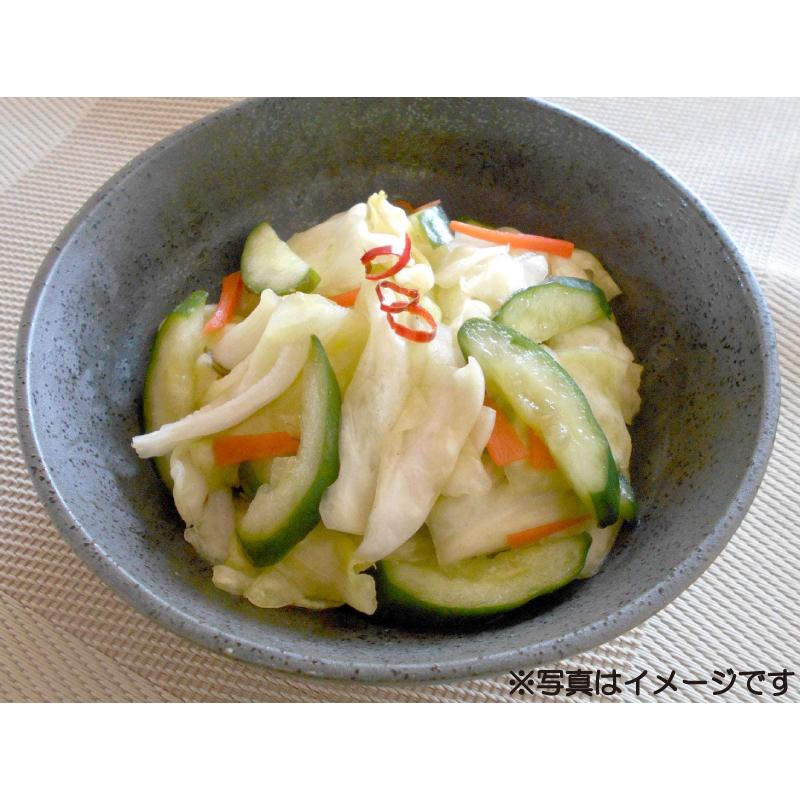 ニチノウ食品 徳用 さっぱり漬の素 120g (15g×8袋入) ×3袋 送料無料 |  | 04