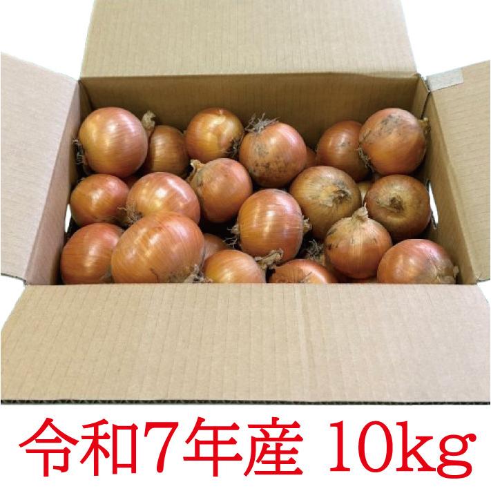 北海道産 ふらの産 たまねぎ S/M/L/サイズ混合 10kg 送料無料