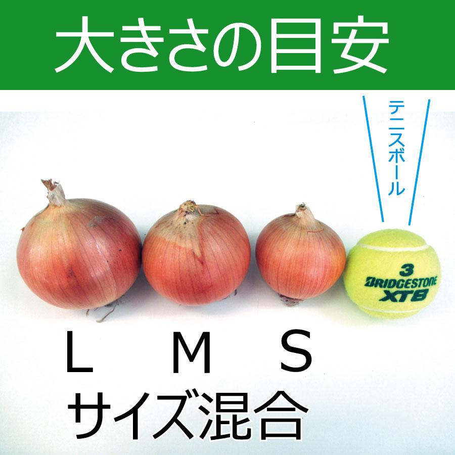 北海道産 ふらの産 たまねぎ S/M/L/サイズ混合 10kg 送料無料