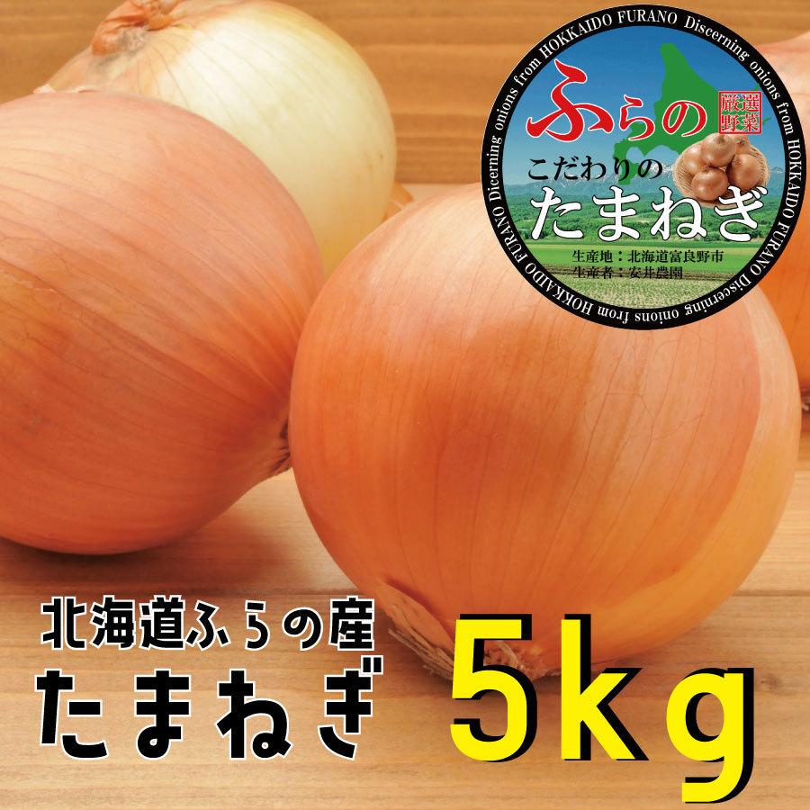 北海道産 ふらの産 たまねぎ S/M/L/サイズ混合 5kg 送料無料 | 