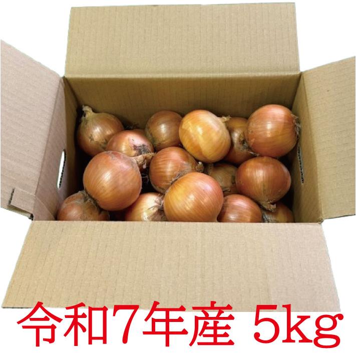北海道産 ふらの産 たまねぎ S/M/L/サイズ混合 5kg 送料無料 |  | 01