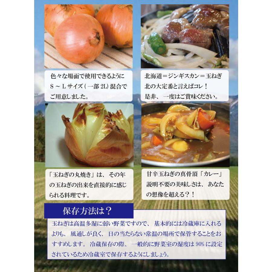 北海道産 ふらの産 たまねぎ S/M/L/サイズ混合 5kg 送料無料 |  | 04