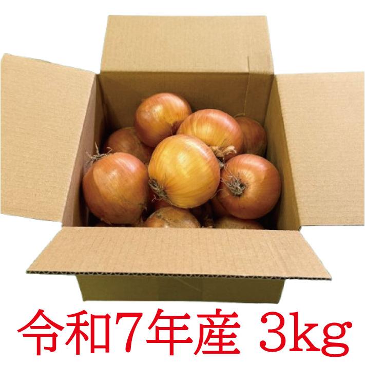 北海道産 ふらの産 たまねぎ S/M/L/サイズ混合 3kg 送料無料 |  | 01