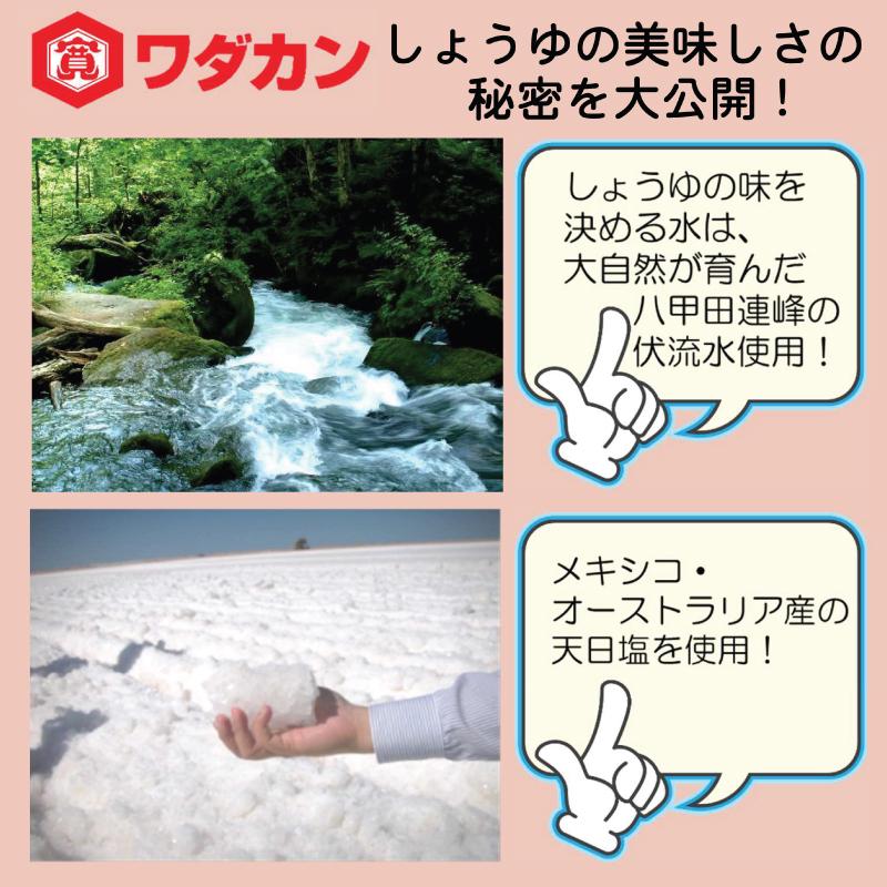 ワダカン 醤油 りんごのおしょうゆ 500ml  ペットボトル | ワダカン | 04