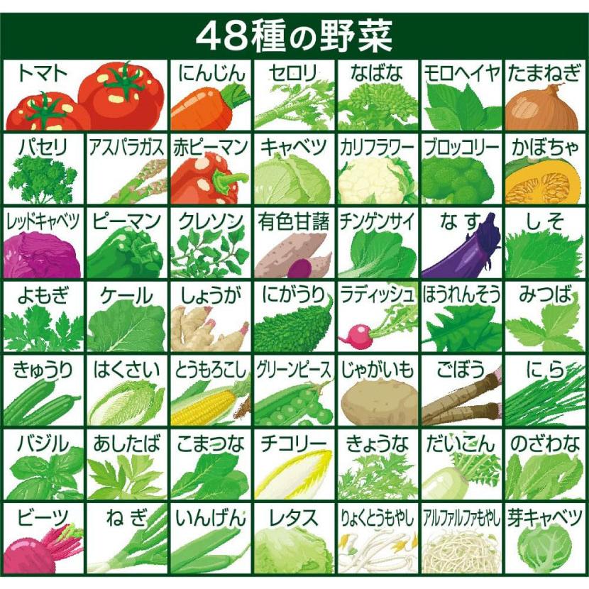 キリン 無添加野菜 48種の濃い野菜100% 200ml ×48本 (24本入×2ケース) 送料無料 | キリン 無添加野菜 | 02
