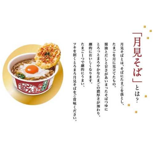 日清食品 日清のどん兵衛 (東) 24個セット (きつねうどん×12個・天ぷらそば×12個) 送料無料 | 日清のどん兵衛 | 07