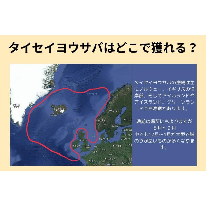 鯖缶 伊藤食品 あいこちゃん 大西洋サバ使用 鯖 水煮 食塩不使用 150g ×48缶 送料無料｜quickfactory｜04