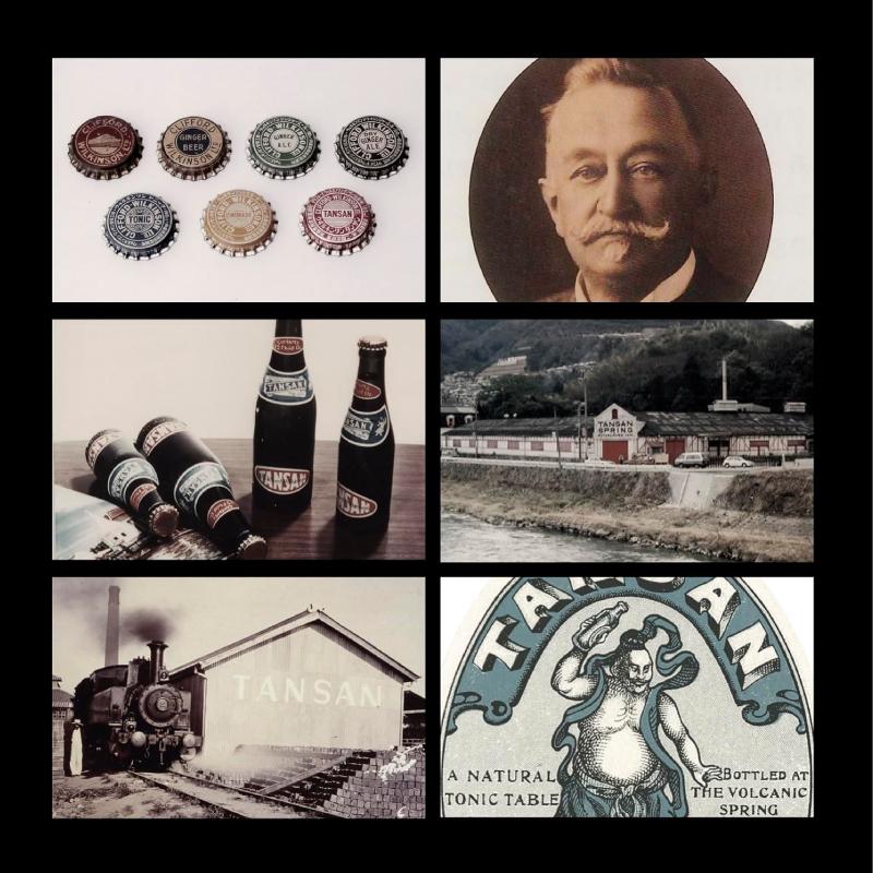 ウィルキンソン ドライジンジャーエール 500ml PET ×48本 (24本入×2ケース) 送料無料 | WILKINSON | 03