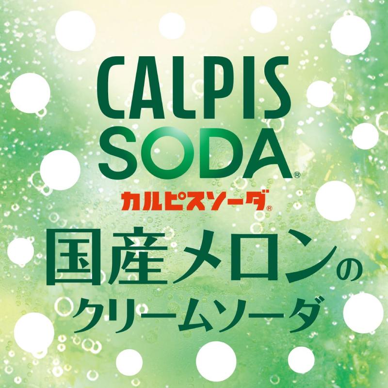 アサヒ飲料 カルピスソーダ 国産メロンのクリームソーダ 500ml ×24本 送料無料 | カルピス | 01