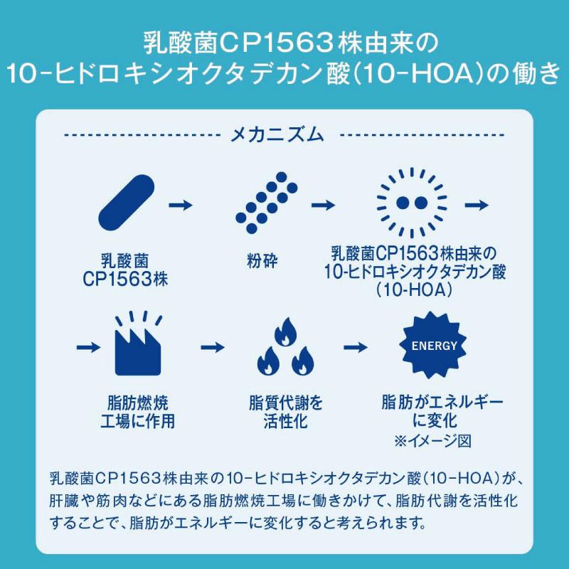 アサヒ PLUS カルピス 体脂肪ケア 200ml 24本 送料無料 | カルピス | 07