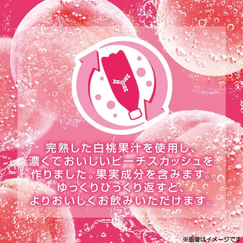 アサヒ飲料 三ツ矢 特濃ピーチスカッシュ PET 500ml ×48本 (24本入×2ケース) 送料無料 | 三ツ矢 | 03