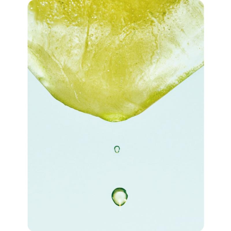 送料無料 キリン 生茶 525ml ペットボトル 2箱【48本】 | 生茶 | 05