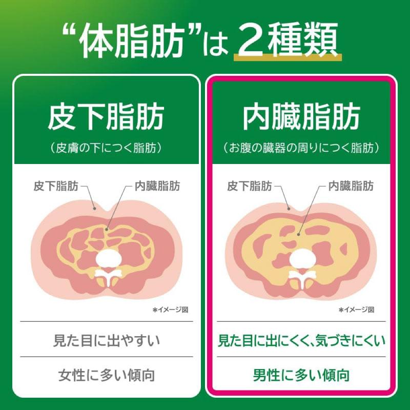【特保・トクホ】キリン ヘルシア うまみ緑茶 特保 ペット 500ml 1箱 (24本入) 送料無料 | ヘルシア緑茶 | 10