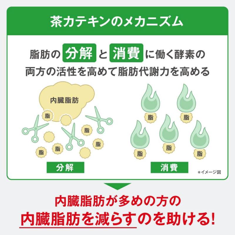 【特保・トクホ】キリン ヘルシア うまみ緑茶 特保 ペット 500ml 1箱 (24本入) 送料無料 | ヘルシア緑茶 | 11