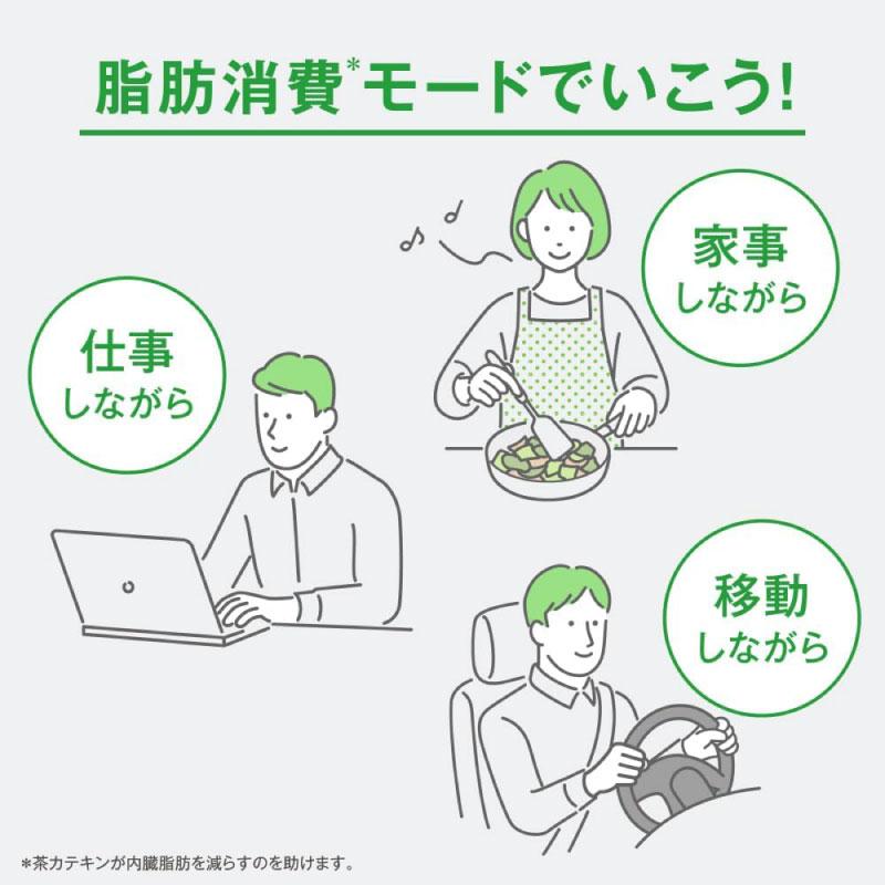 【特保・トクホ】キリン ヘルシア うまみ緑茶 特保 ペット 500ml 1箱 (24本入) 送料無料 | ヘルシア緑茶 | 15